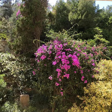 Inviting With Sea View Apartment