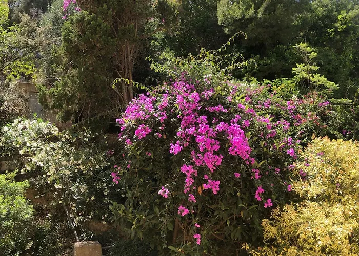 Inviting With Sea View Appartamento